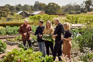 south Australia wine tours