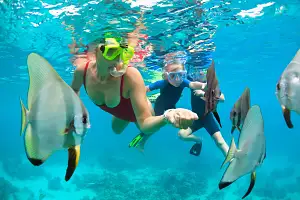 Mauna Kea Sealife Snorkel
