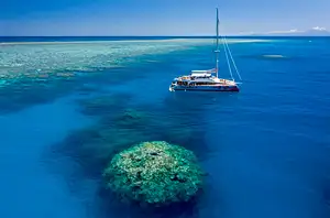 Passions Of Paradise Great Barrier Reef Day Tour | Snorkel & Dive Options