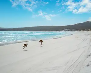 Esperance & Cape Le Grand Gourmet Adventure | Off the Beaten Track WA