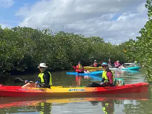 Guided Mangroves and Mansions Kayak Tour | From Noosa