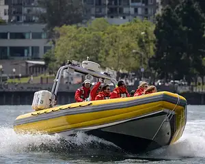 San Francisco Small-Group City Tour with Bay Voyager Cruise