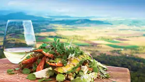 The Ultimate Scenic Rim Gourmet Tasting Experience | Private Tour