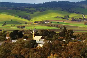 Barossa Valley tours