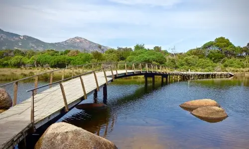 Tidal River