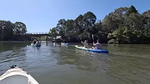 Noosa Heads Scenic Estuary & Wildlife Kayaking Tour (Self-Guided)