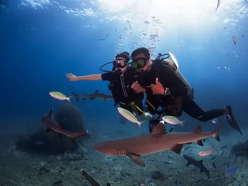 60342757_2175567499225299_904045772054462464_n.jpeg