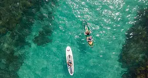 Clearyak Double Kayak Hire | Goat island Marine Reserve