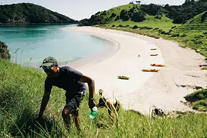 Island Hiki.jpg