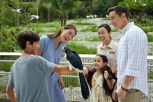 Entrance Tickets To Bird Paradise
