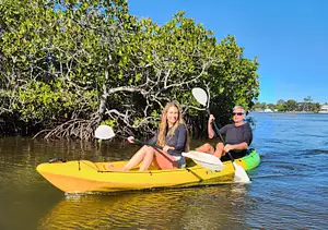 Noosa Heads Scenic Estuary & Wildlife Kayaking Tour (Self-Guided)