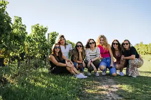 Afternoon Wine Tour to Saint-Emilion | From Bordeaux